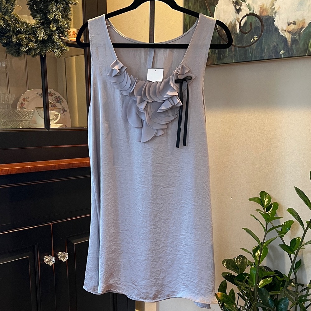 New Elegant Long Gray Sleeveless Top from Nordstrom